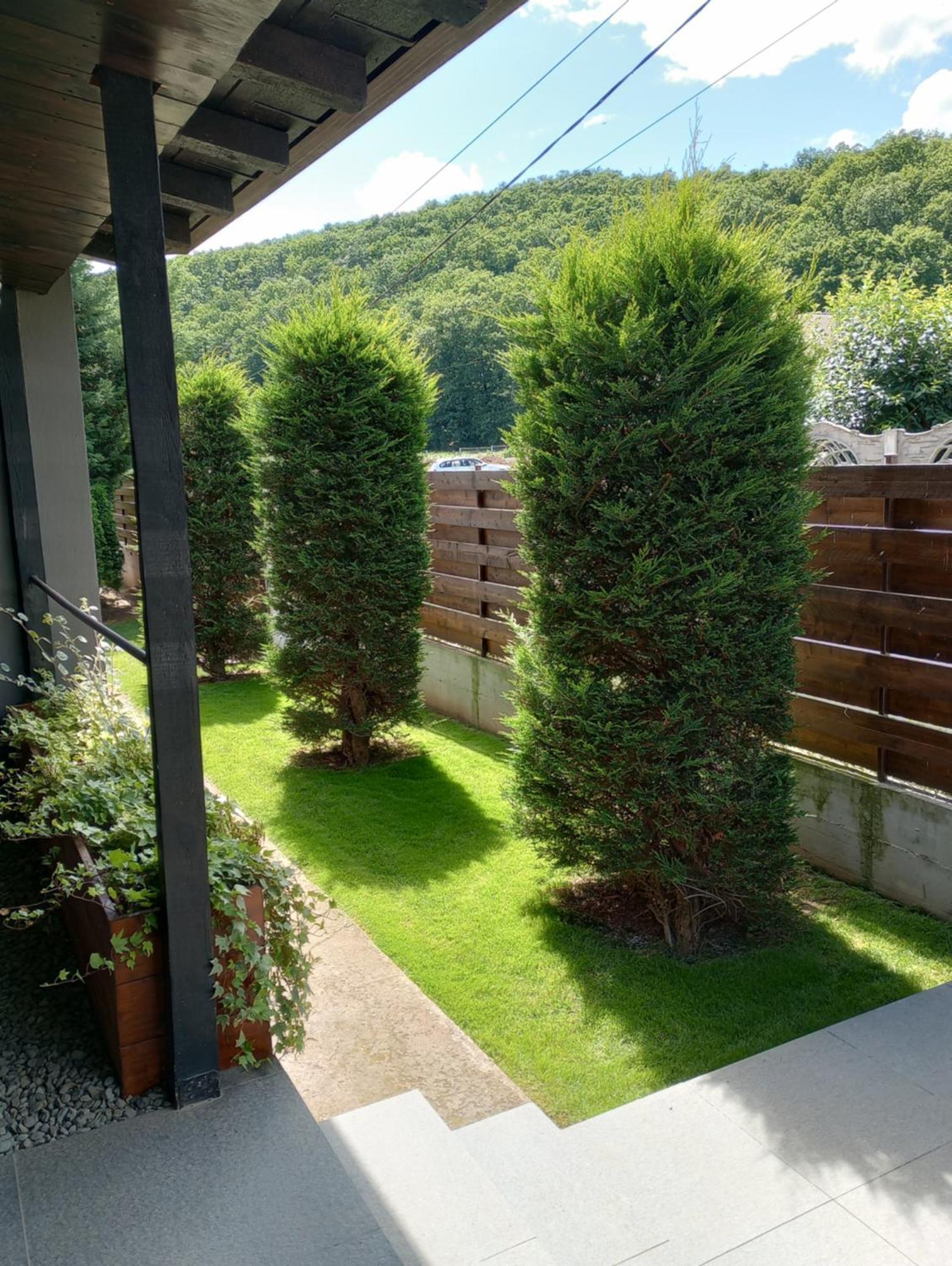 Vila Gosen Sard Exterior foto